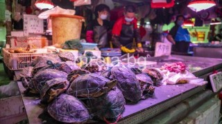 Нова зараза идва от Ухан. Ще скове ли пак света?