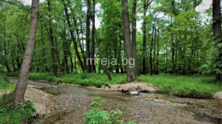 Добрата новина: Загубената жена в гората е спасена