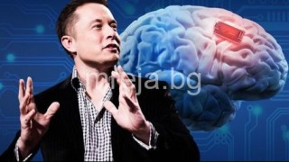 Илон Мъск: Трябва всички хора да бъдат чипирани в главата