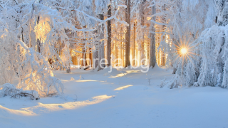 Климатолог направи изненадваща прогноза за предстоящата зима