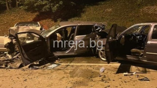 Разтърсващи разкрития за жестокото меле край Панчарево