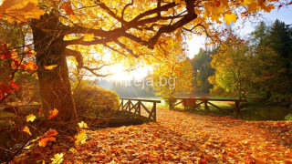 Синоптиците алармират: Снегът и студът ни застигат до дни