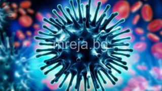 Новият грип „Дарвин“ ще ни разкаже играта