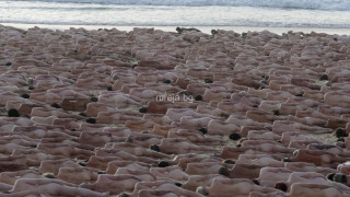 Хиляди голи австралийци участваха във фотосесия на Бонди бийч (снимки)