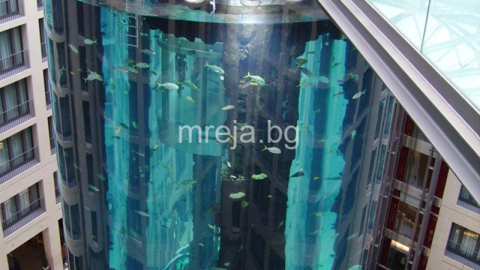 Най-големият аквариум се пръсна: Има ранени (ВИДЕО)
