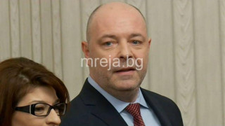 Шареният свят на проф. Николай Габровски