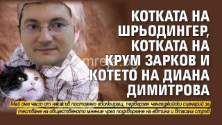 Котката на Шрьодингер, котката на Крум Зарков и котето на Диана Димитрова