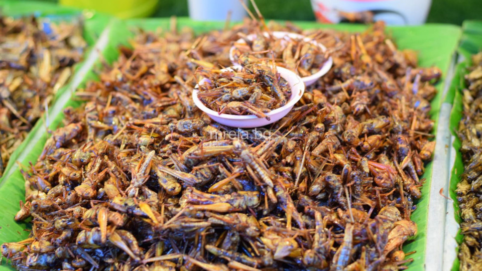 Европа ни разболява от рак с щурци и хлебарки в храната