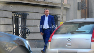 Защо Румен Вълка изсече 2 декара гора в Борисовата градина?