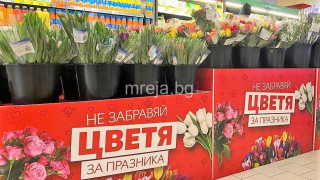 Близо 400 000 цветя на атрактивни цени за Деня на жената в Kaufland
