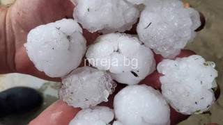 Безхаберието на Промяната и Радев съсипаха продукция за милиони в Силистренско