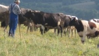 Бивш затворник върти апетитни сделки с имоти