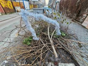 Елхите на Терзиев – граждански бунт завладя столицата