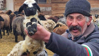 Помнете Бай Георги от Велинград. Помнете Ани от Болярово. Докато има българи като тях, и България ще я има!