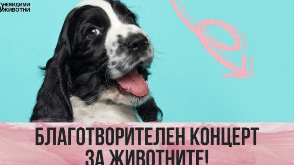 Благотворителен концерт-протест срещу насилието над животни събира българските изпълнители