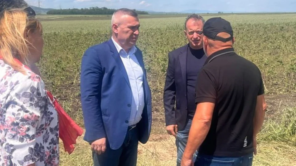 Министър Тахов: Осигурени са средства за компенсиране на щетите от градушки