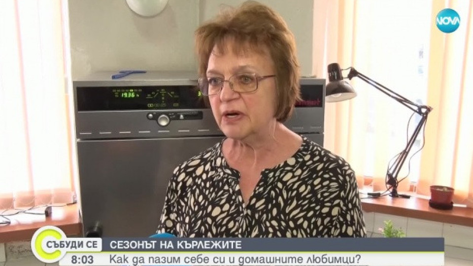 Д-р Снежана Иванова: В момента започва пикът на кърлежово преносимите болести. Защото времето го позволява