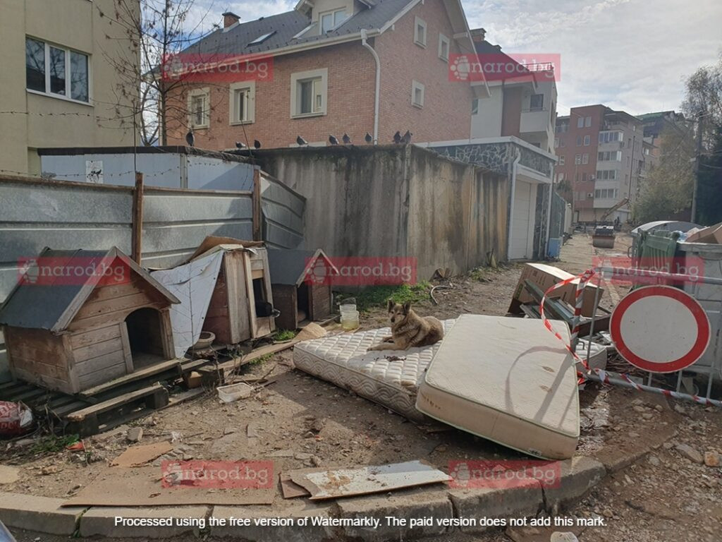 Читател: Зли кучета побъркаха софиянци, ПП кметът Ангел Стефанов се хили