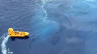 Баща скочи от круизен кораб, за да спаси падналата си дъщеричка ВИДЕО