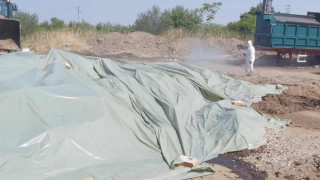БАБХ в Пловдив с признание за шарката по житовотните