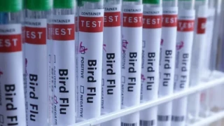 България е съобщила за огнища на птичи грип в три ферми