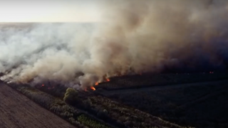 Огнена стихия в "Калимок-Бръшлен": Човешка небрежност заплашва колония от къдроглави пеликани