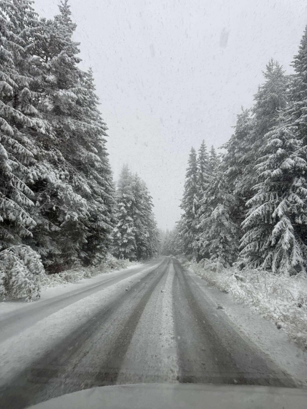 Голямо свлачище затрудни движението по пътя Пловдив-Смолян, над 20 см. сняг напрупа на Пампорово (снимки)