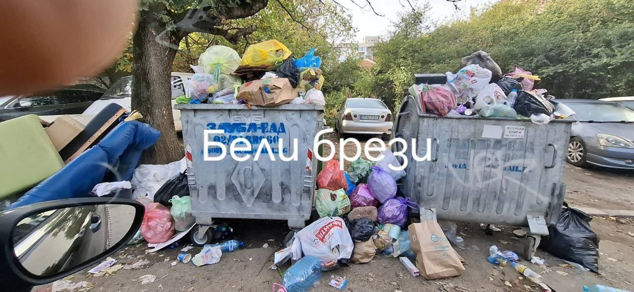 София пламна от боклук и зарази. Терзиев, тръгвай си! (СНИМКИ)