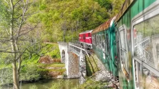 Младеж посвети енциклопедия на Родопската теснолинейка