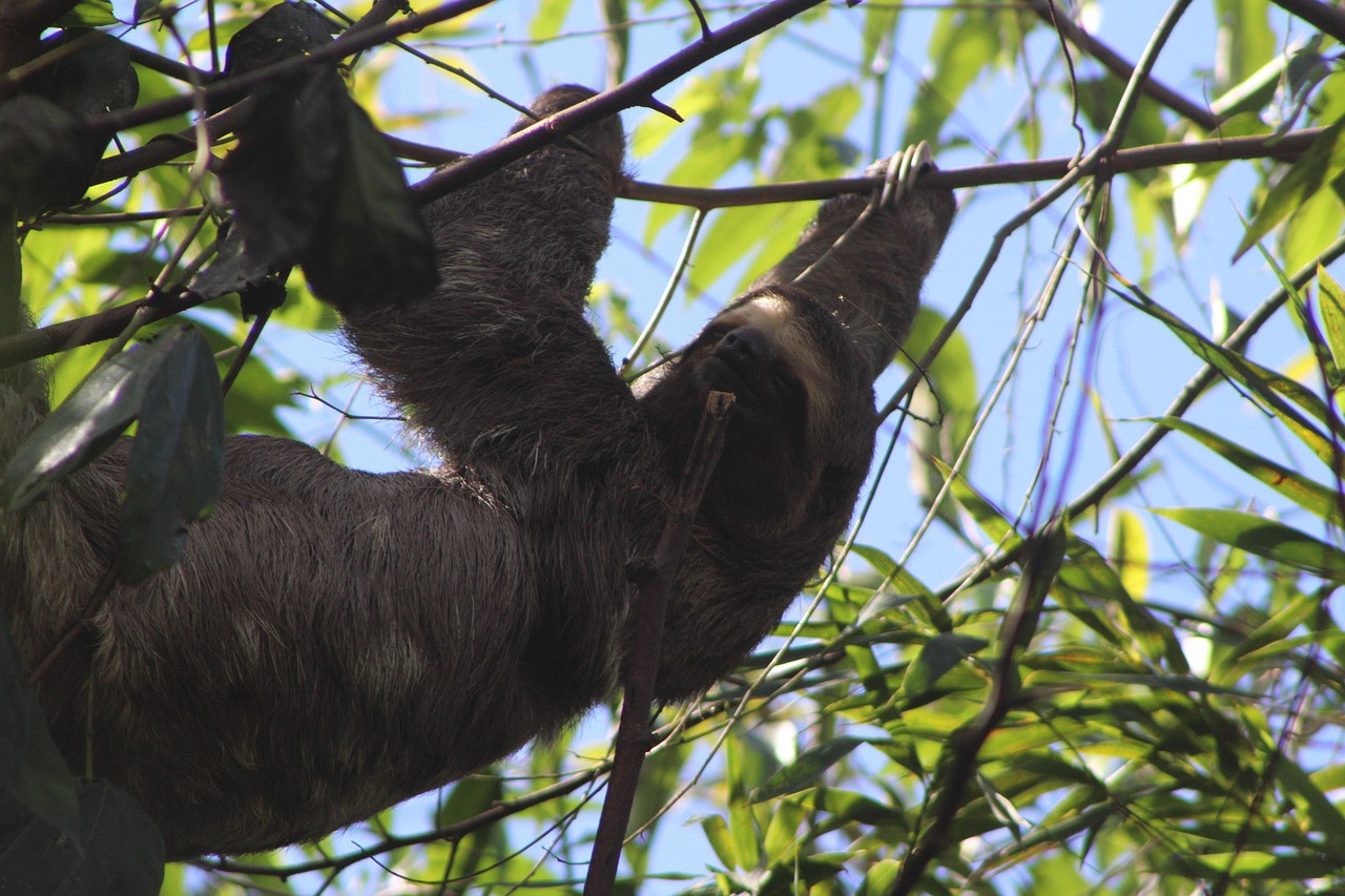 TravelLove – там, където всяко пътуване започва с вдъхновение