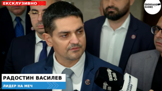 Ексклузивно! Радостин Василев показа запис на депутат от ''Величие'': ''Аз Мимето ще я изимитирам, дай да я подпиша няколко пъти''