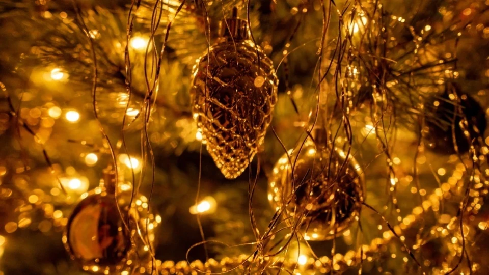 Къде се намира най-високата коледна елха в света: Висока е 45 м и е „построена“ от 1300 смърчови дървета (ВИДЕО)