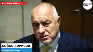 Ексклузивно! Борисов: Протестите са, за да не се приеме бюджет в евро! (ВИДЕО)