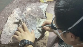 Учени откриха едни от най-старите следи от живот на Земята