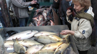 Дни преди Никулден започнаха масирани проверки на областната дирекция по безопасност на храните. Какво показват те?