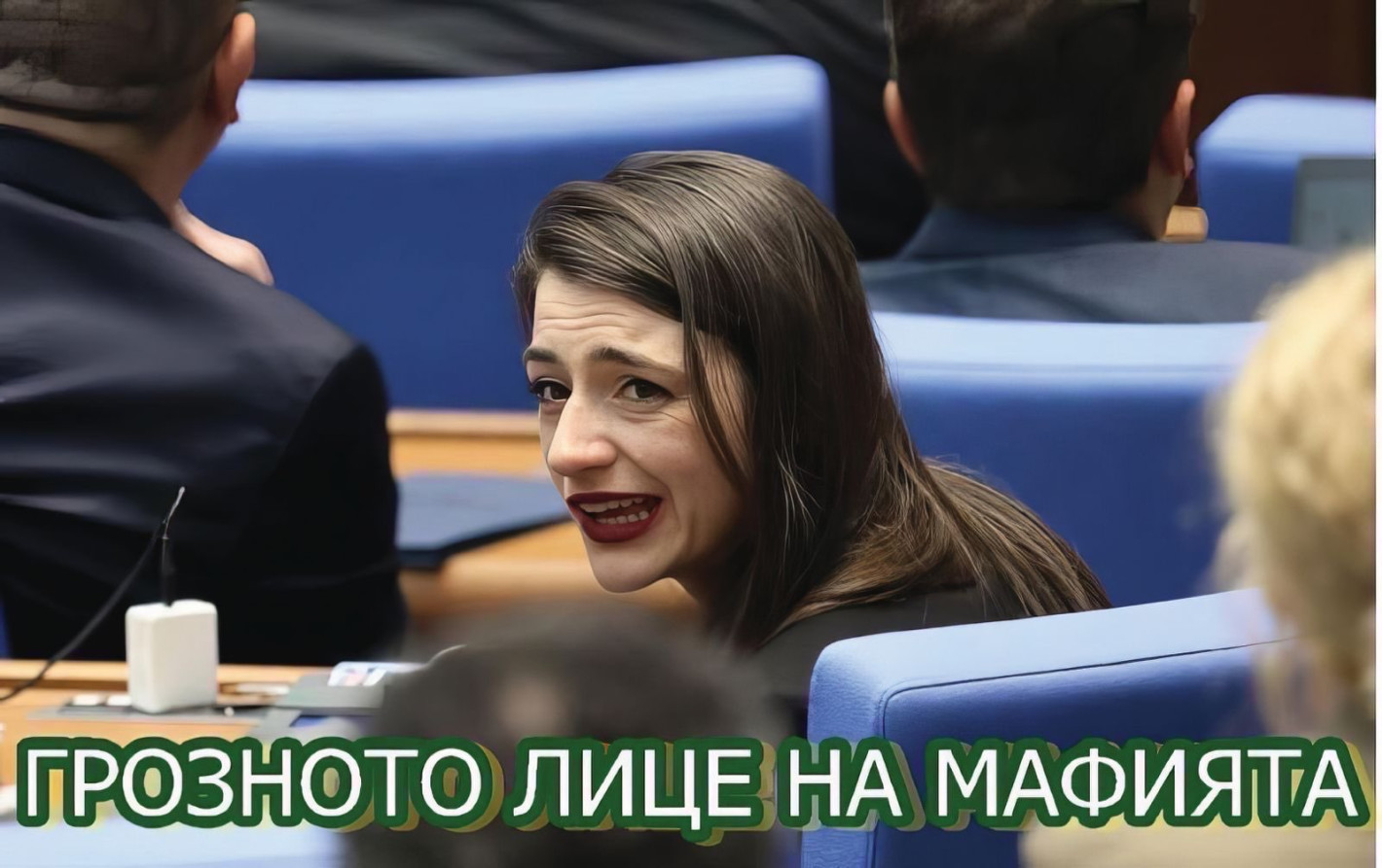 ЕТО КАК МРЕЖАТА ВИДЯ ШАРЛАТАНИТЕ: Позор! Направихте България за смях!