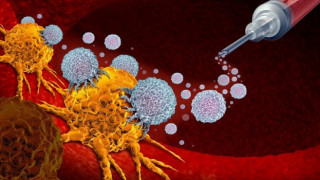 Бактерия от червата на жаба елиминира туморитe с една инжекция