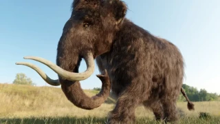 Учени установиха какво е довело до изчезването на мамутите