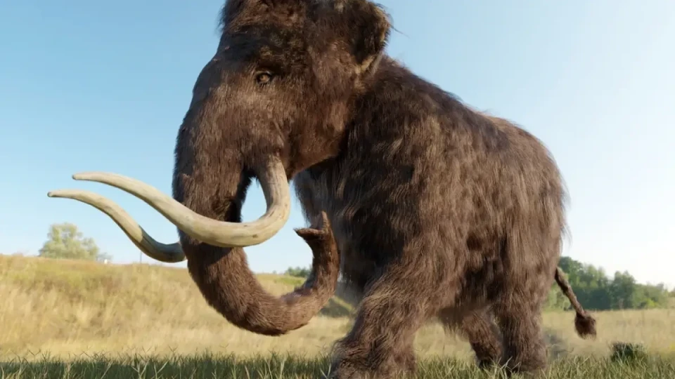 Учени установиха какво е довело до изчезването на мамутите