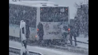 Пътници бутат закъсал автобус в София (ВИДЕО)