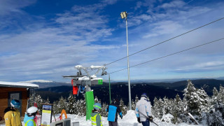 Мальовица сваля цените от 8 март