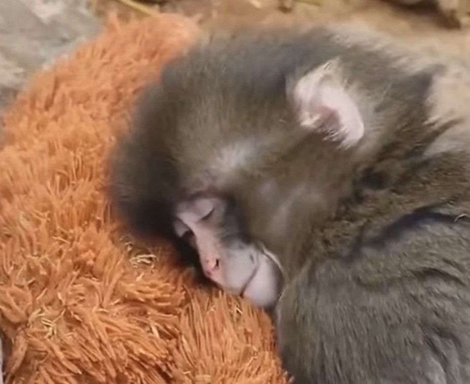 Пътешествия, които разказват истории: зима на открития и вдъхновения