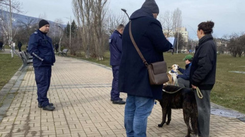 Столичният инспекторат засили контрола: над 340 проверки на стопани на домашни кучета от началото на годината