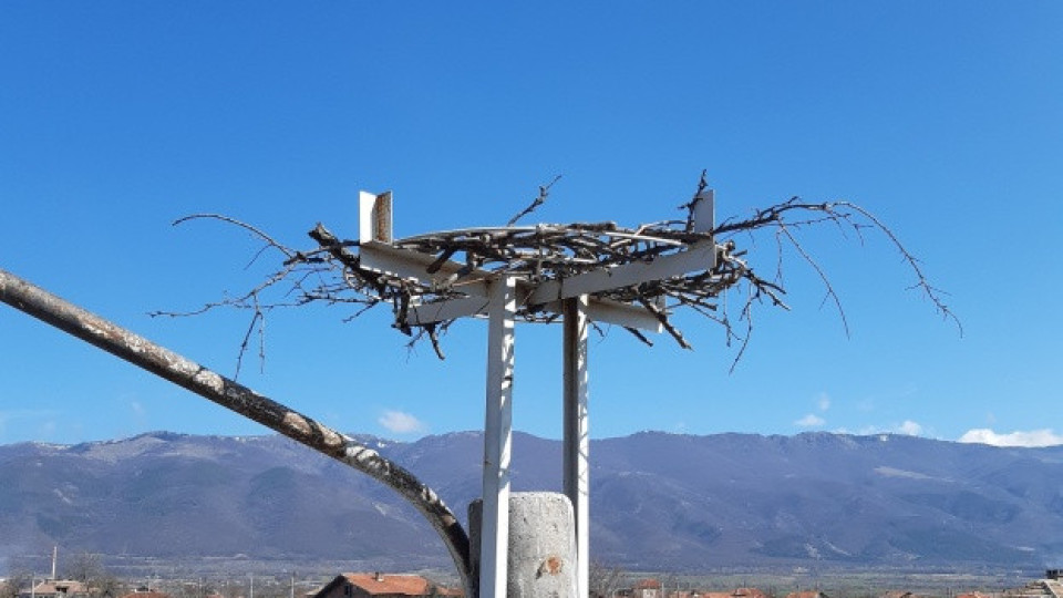 Електроразпределение Юг монтира 499 нови платформи за щъркелови гнезда по стълбове от електроразпределителната мрежа