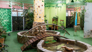 Къщата на пеперудите