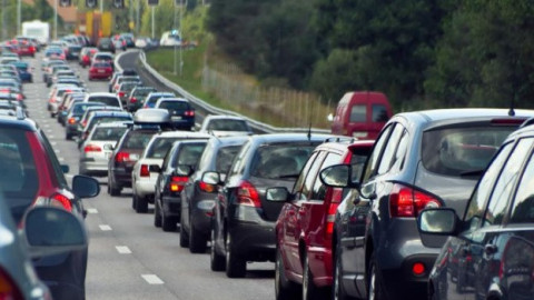 Шумът от трафика засяга дивата природа много по-дълбоко от очакваното