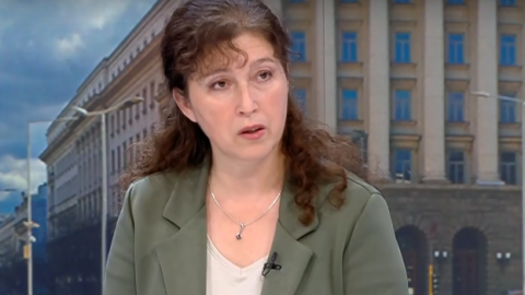 Ваня Нушева: Има над 750 сигнала за нарушения на изборния процес, от които 669 са за купуване на гласове