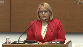 Айтен Сабри, зам.-председател на ПГ на ДПС:  Социалната политика не може да бъде само стратегия на хартия