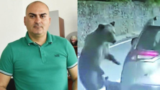 Нападнатият от мечка Бижев: Стъклото беше като вестник за нея