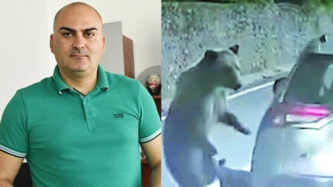 Нападнатият от мечка Бижев: Стъклото беше като вестник за нея